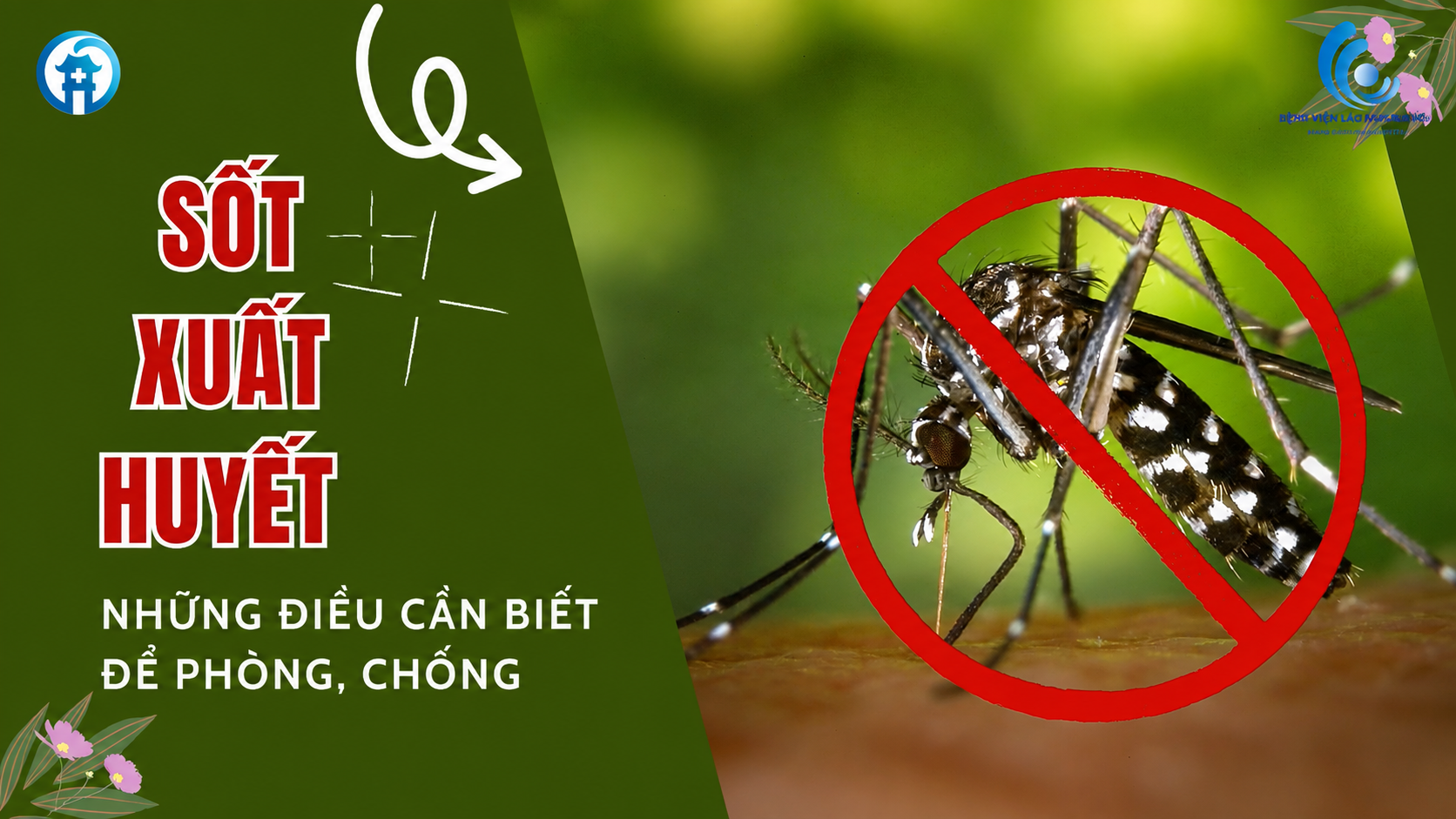 Những điều cần biết về phòng, chống sốt xuất huyết